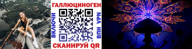 Галлюциногенные грибы Cubensis Венёв